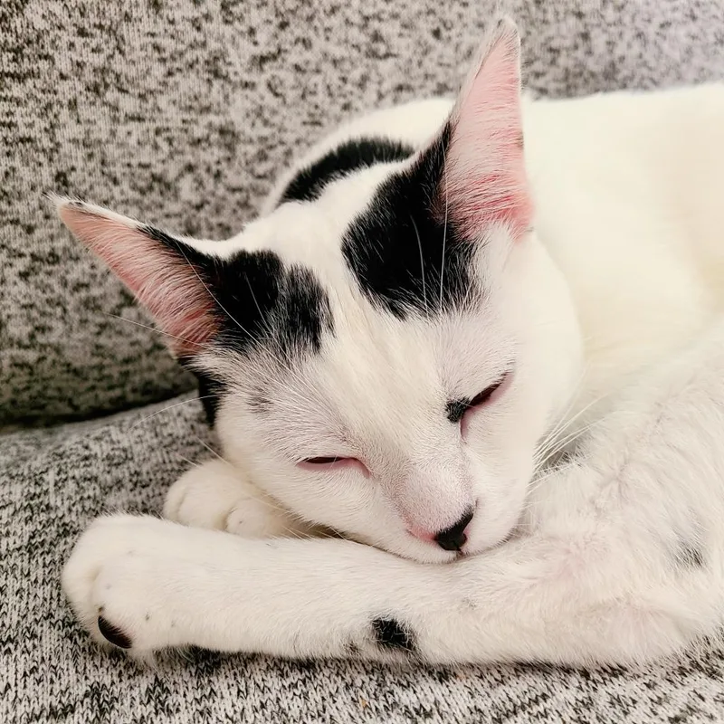 Cloudman thumbnail 4