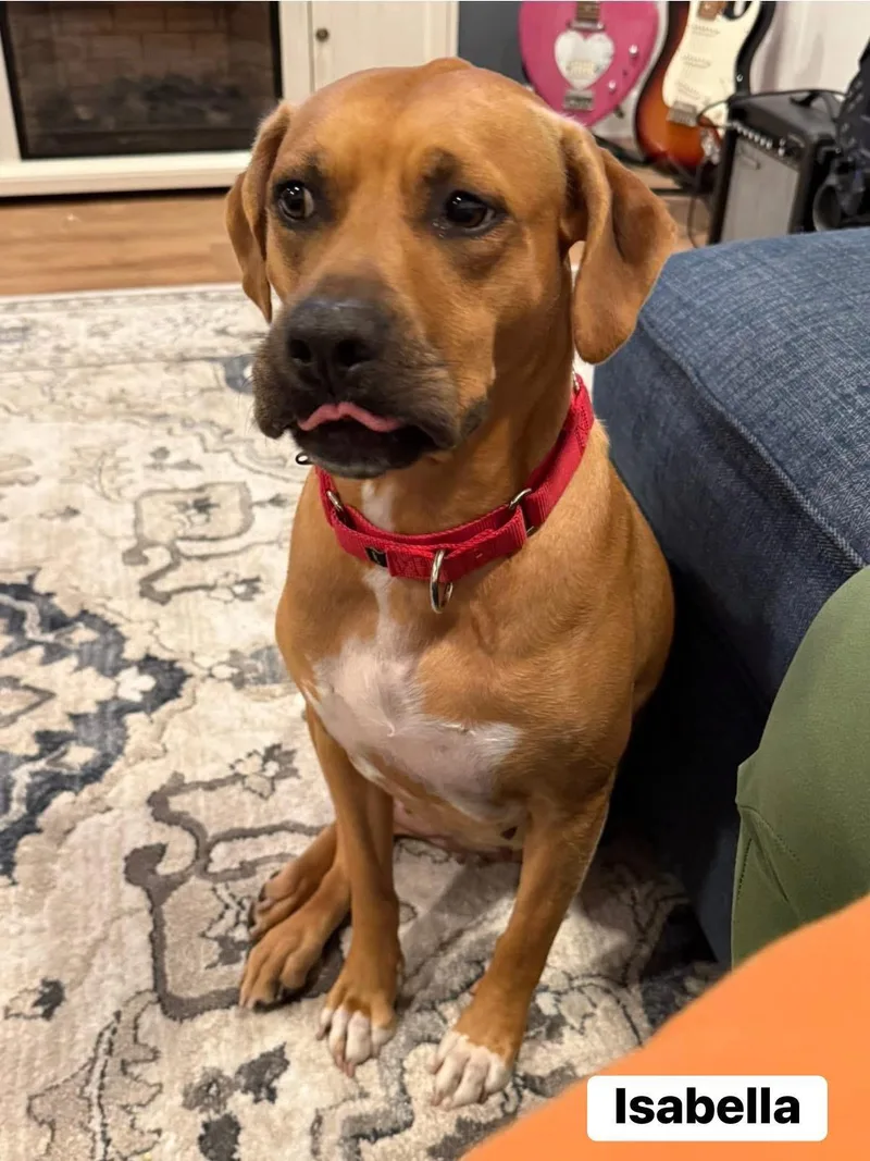 Isabella thumbnail 4