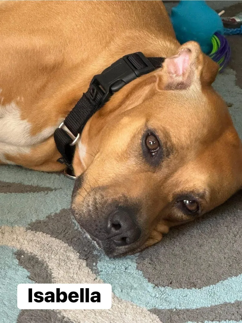 Isabella thumbnail 5