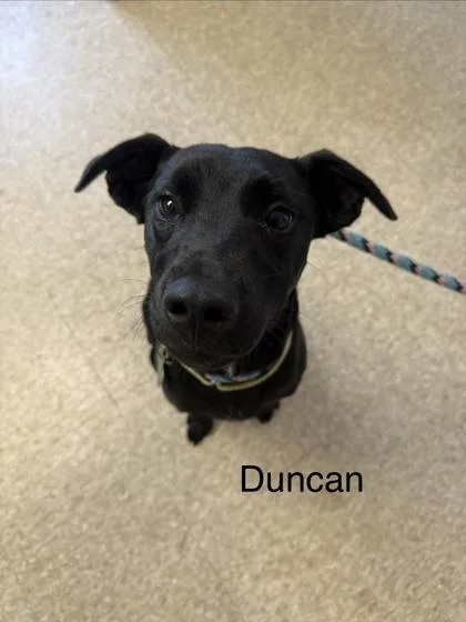 Duncan