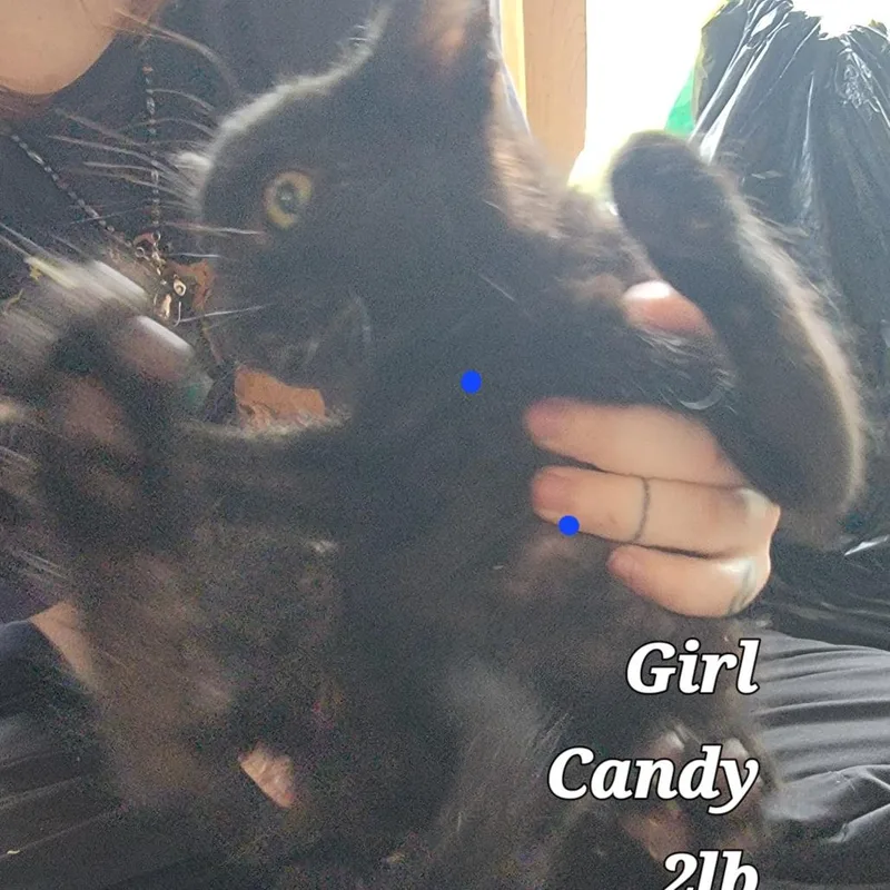 Candi thumbnail 2