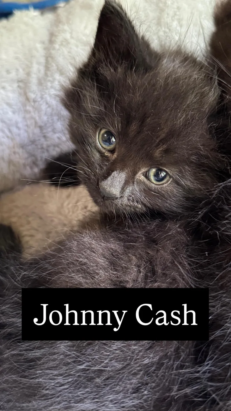 Johnny Cash