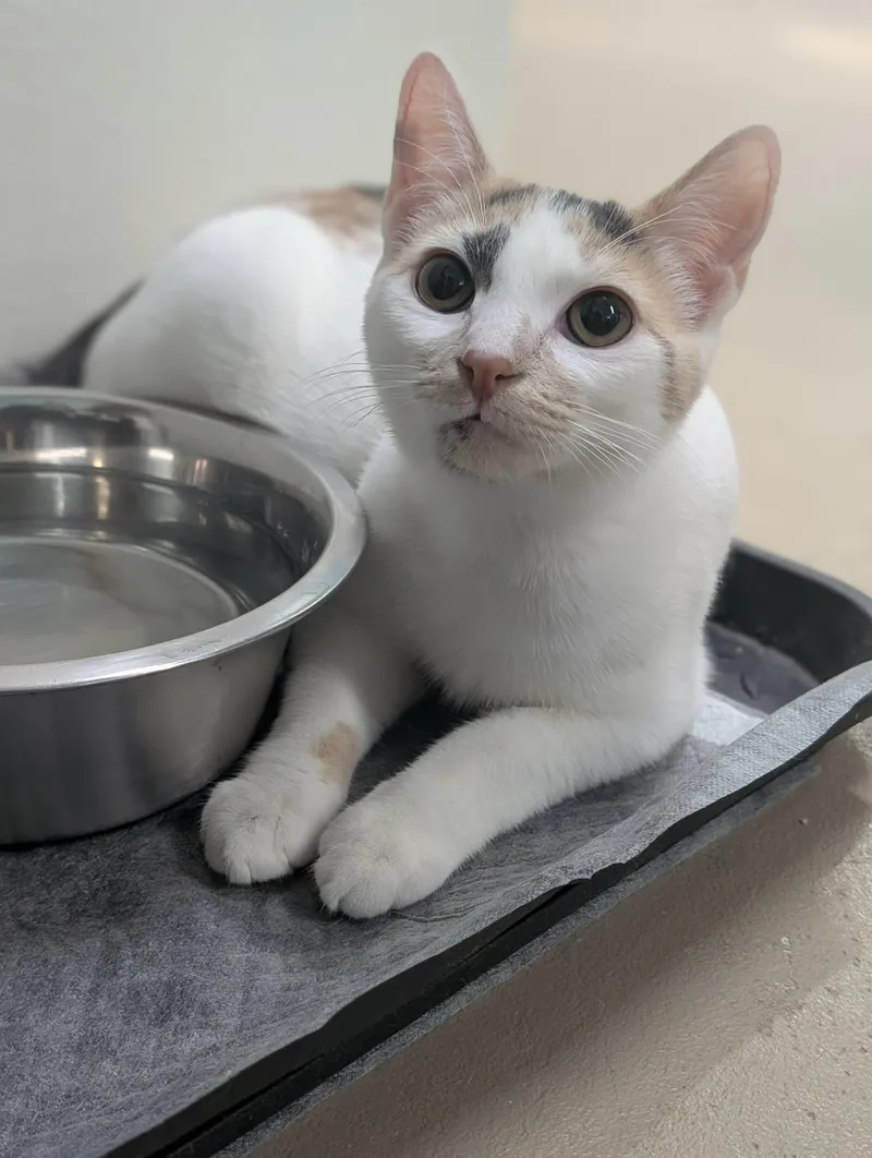 Casey And Willow thumbnail 2