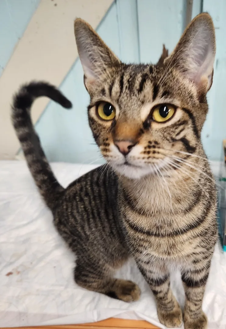 Nicholas thumbnail 2