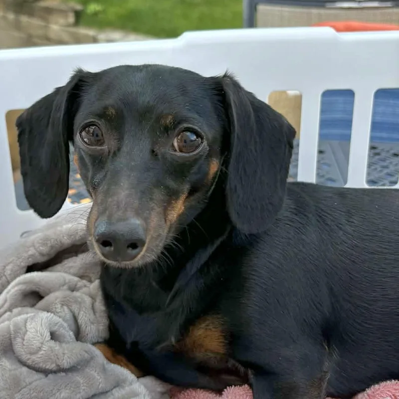 Ellie