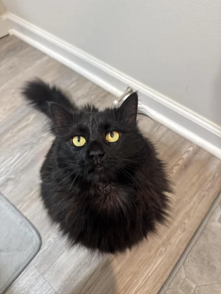 Lilly Jn thumbnail 2