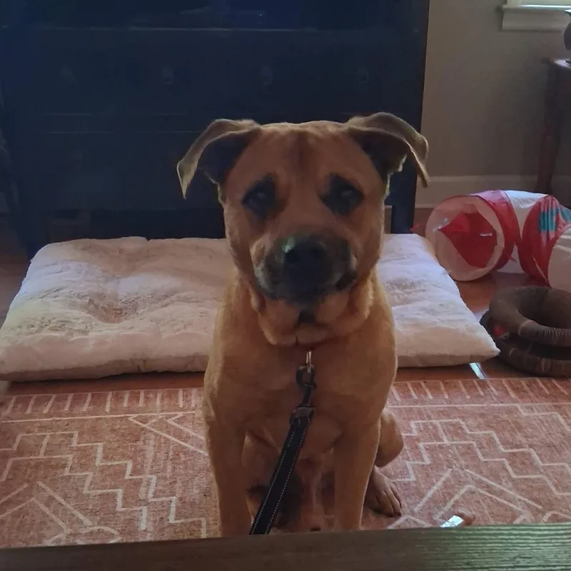 Parker  Handsome Unicorn thumbnail 2