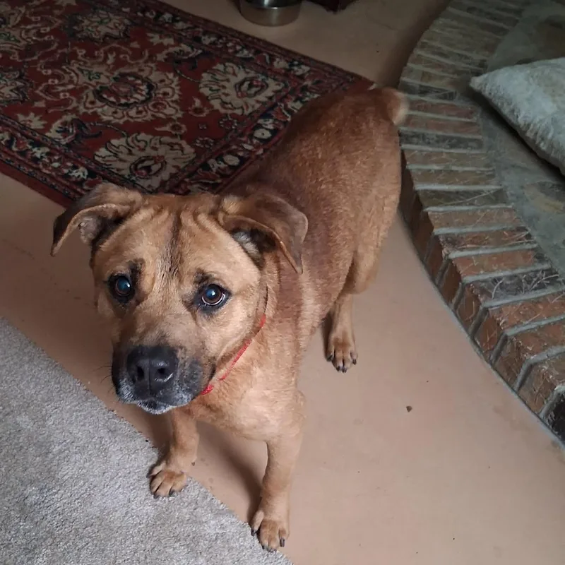 Parker  Handsome Unicorn thumbnail 3