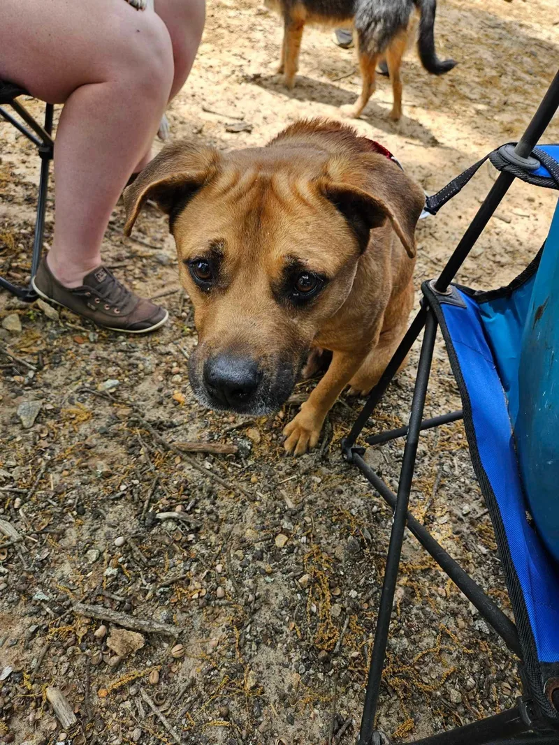 Parker  Handsome Unicorn thumbnail 4