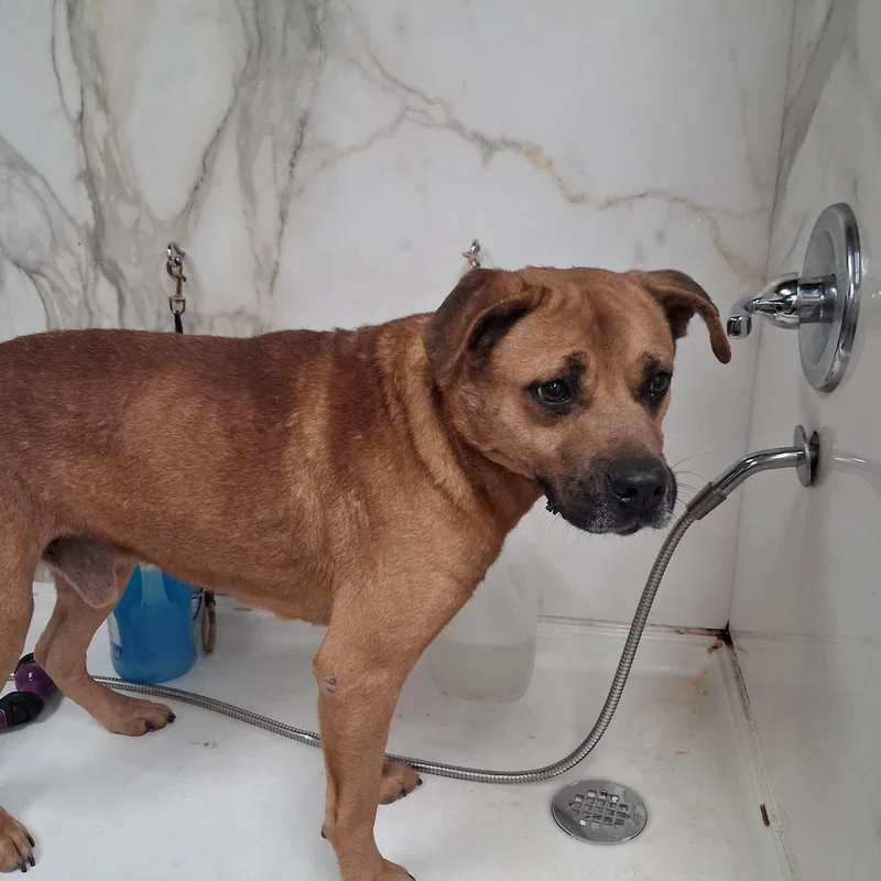 Parker  Handsome Unicorn thumbnail 5