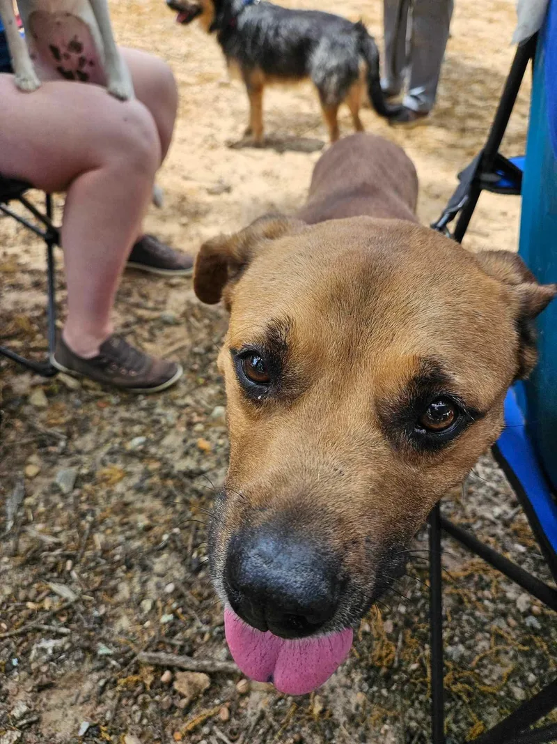 Parker  Handsome Unicorn thumbnail 6