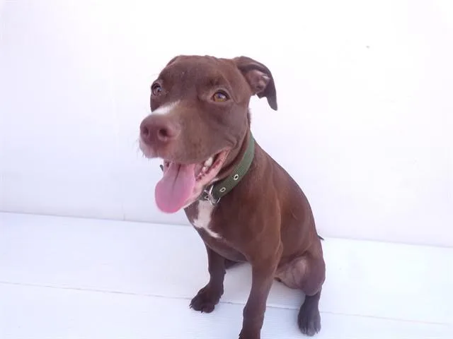 Little Red