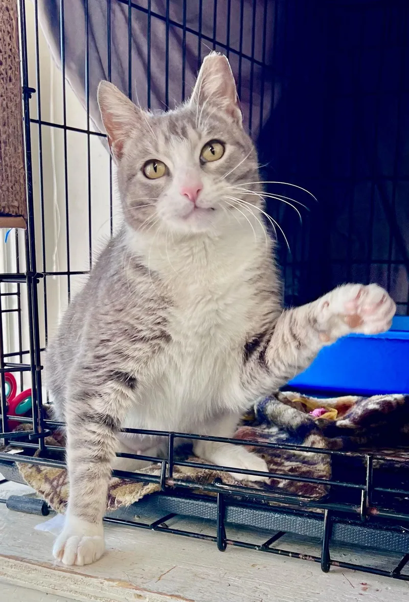 Biancawillow Grove Ps thumbnail 3