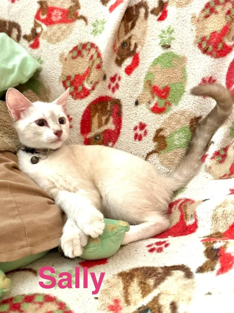 Sally