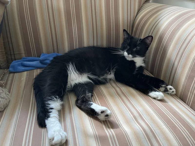 Minnie Mouser thumbnail 6