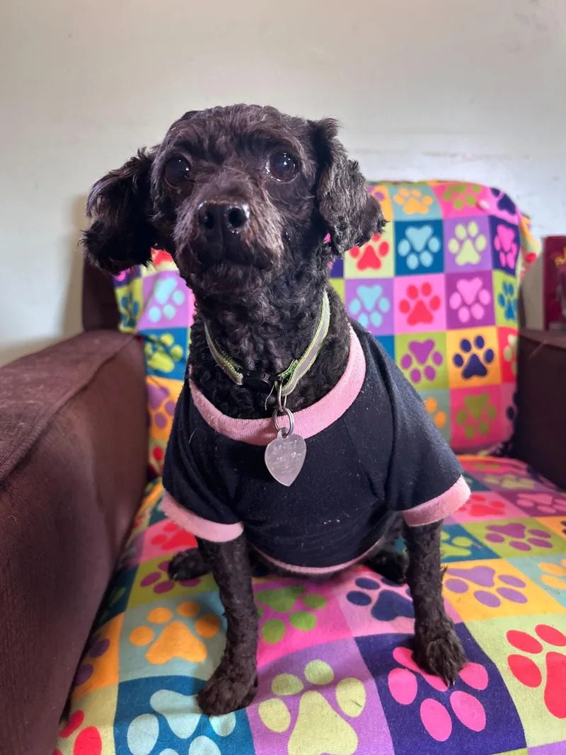 Misty Feb thumbnail 2