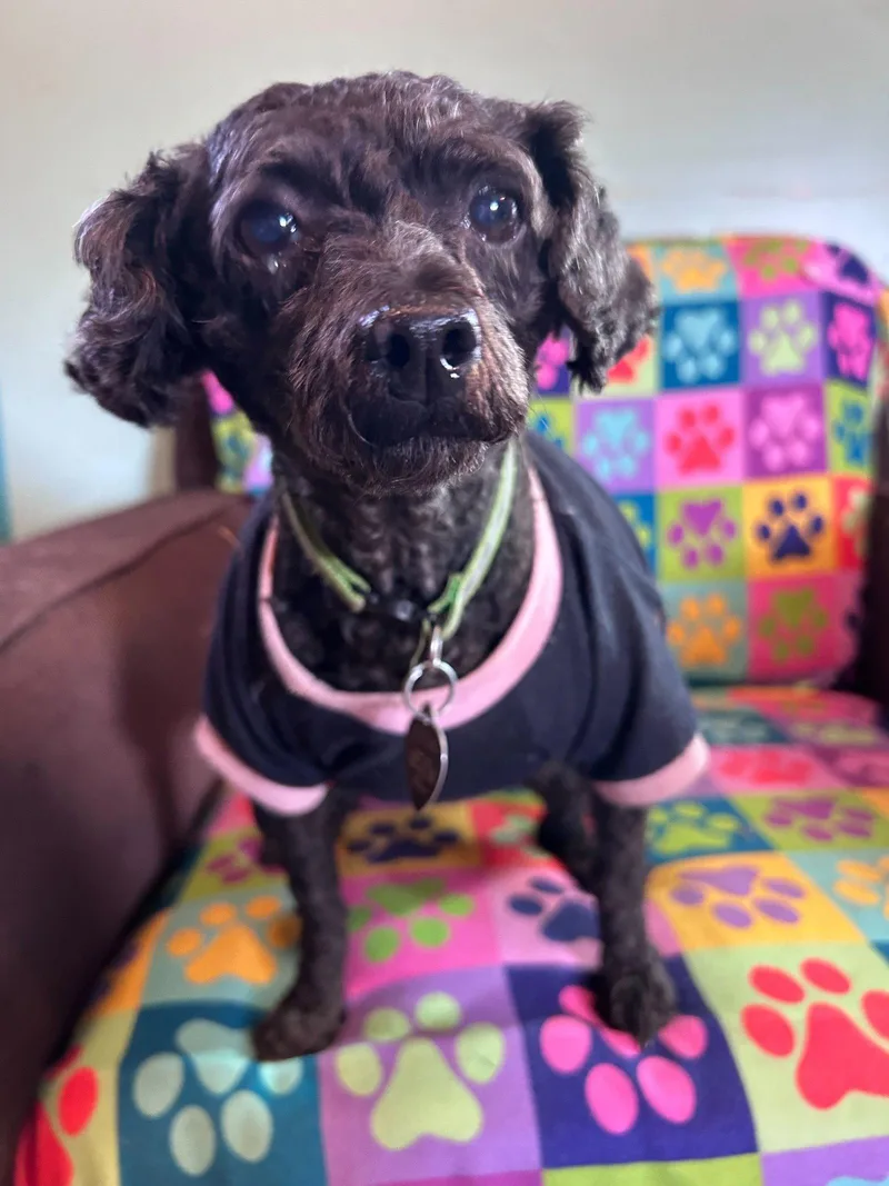 Misty Feb thumbnail 3