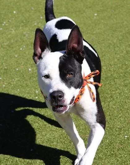 Milky Way thumbnail 2