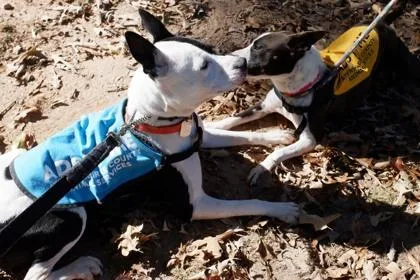 Milky Way thumbnail 3