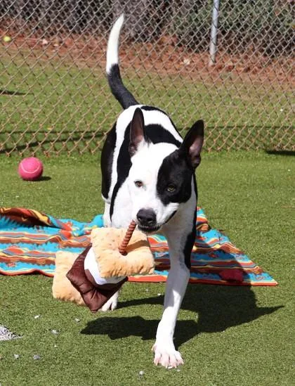 Milky Way thumbnail 5