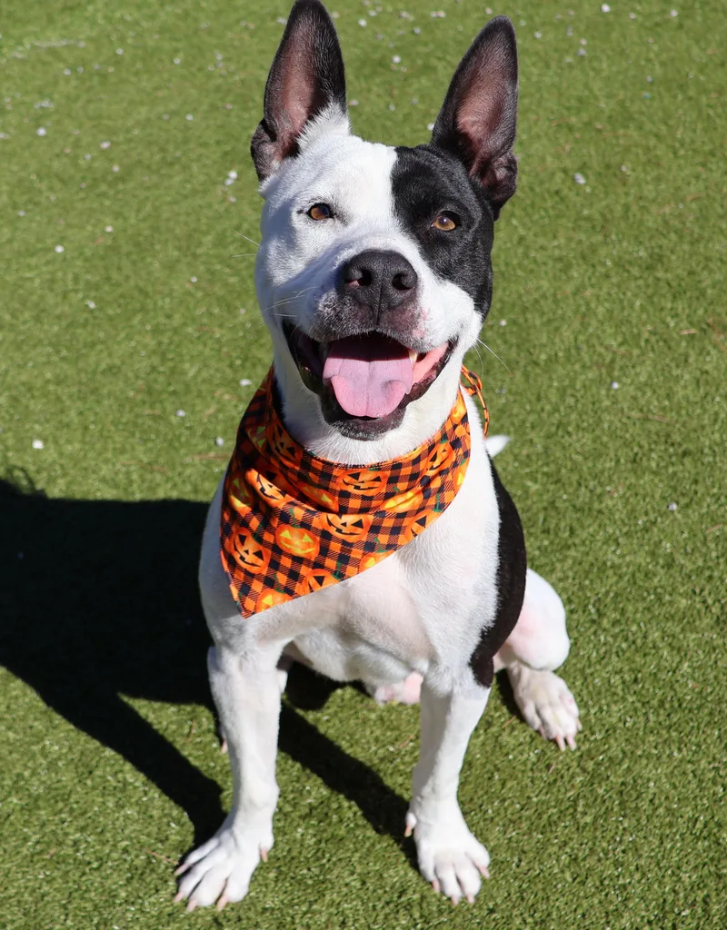 Milky Way thumbnail 6