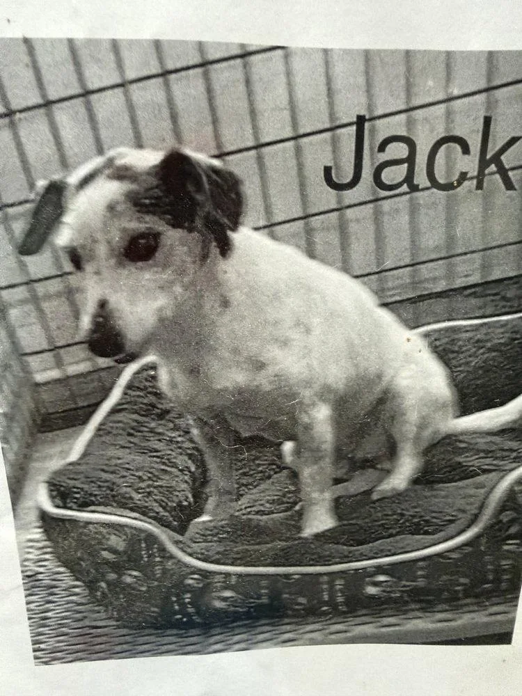 Jack