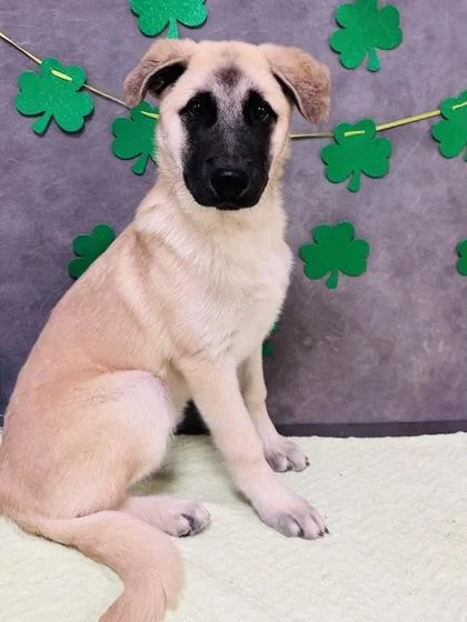 Pudge Rodriguez thumbnail 2