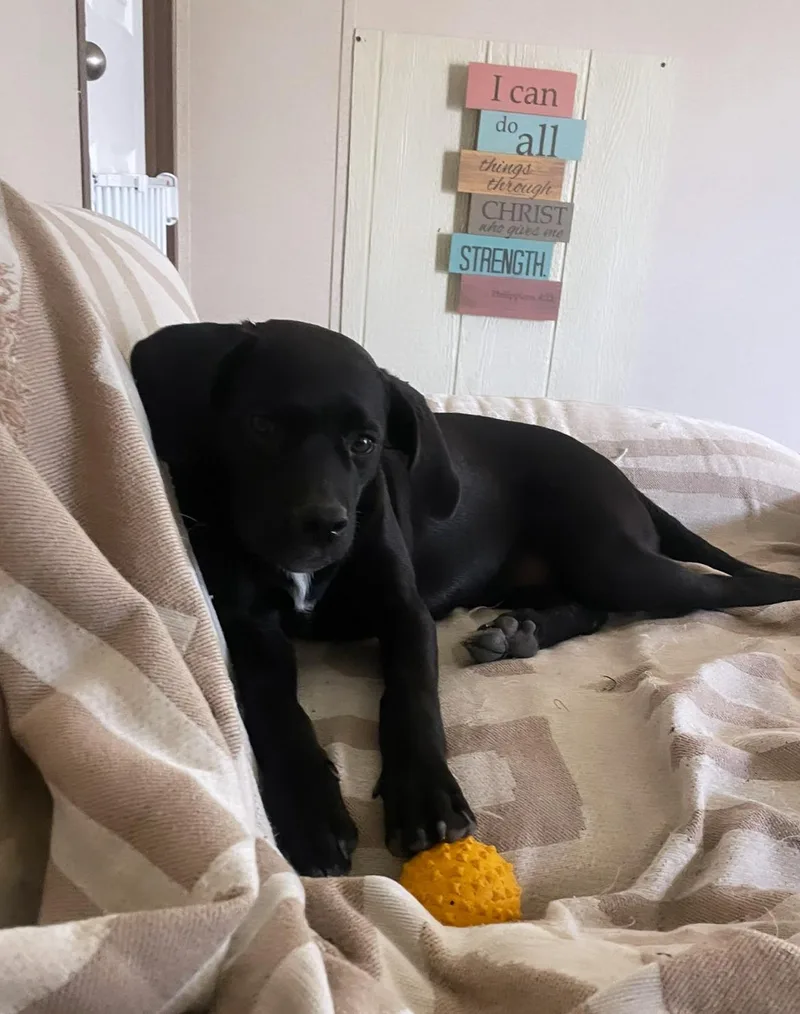 Ellie Mae “snidely” thumbnail 2