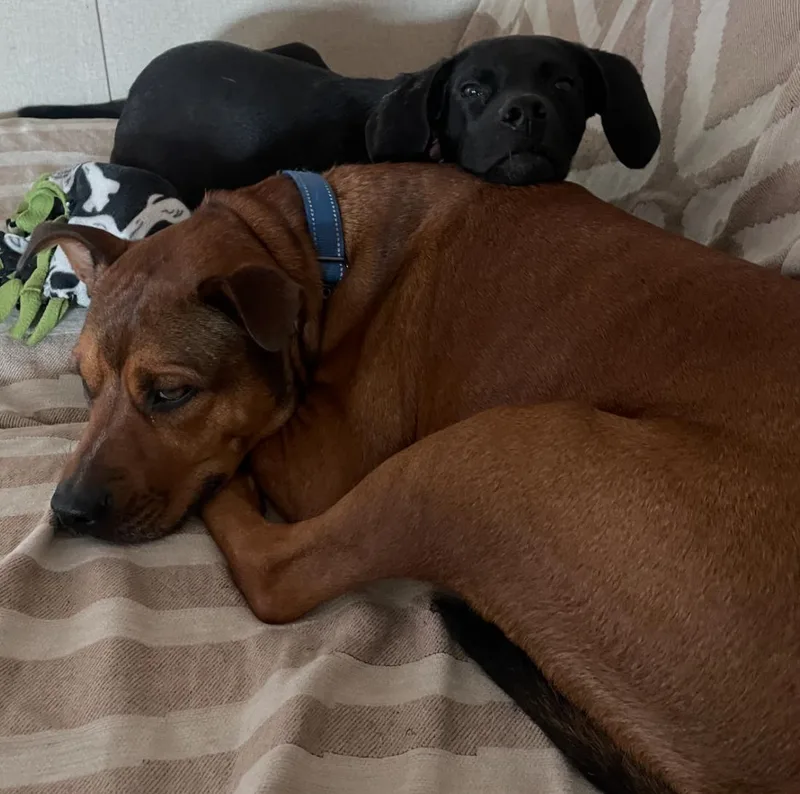 Ellie Mae “snidely” thumbnail 3