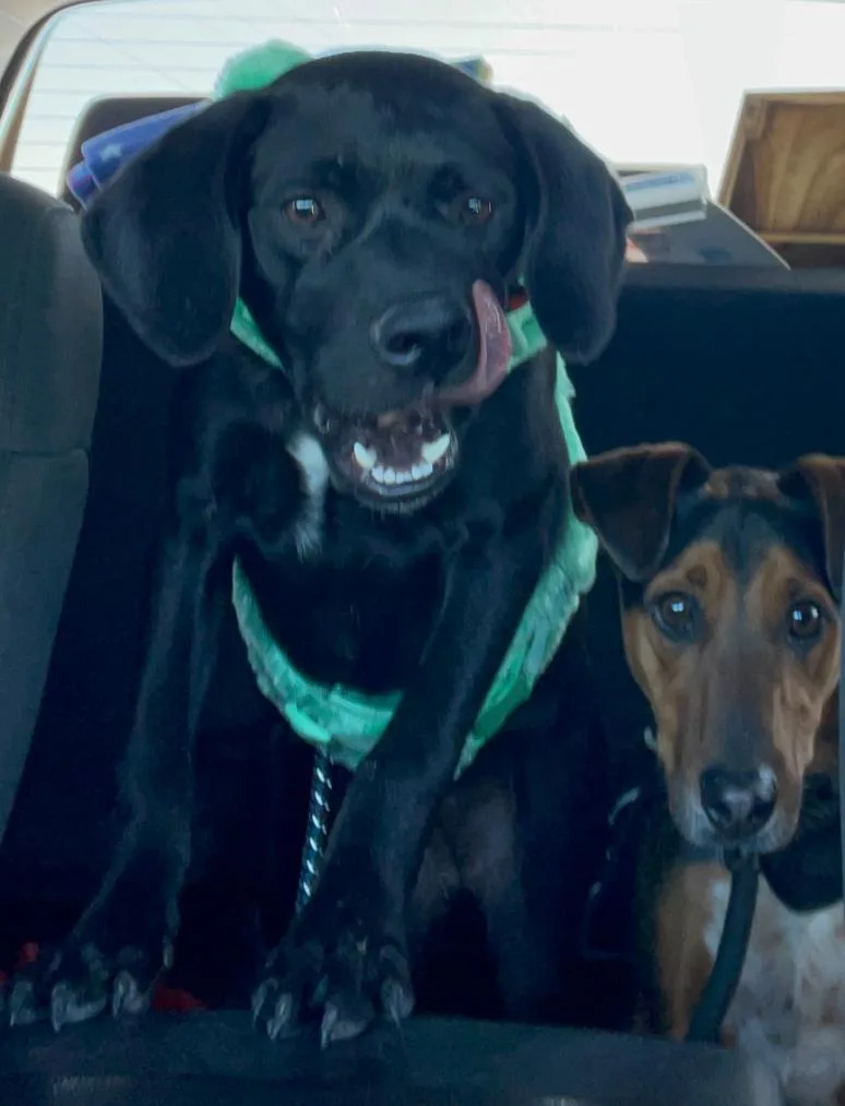 Ellie Mae “snidely” thumbnail 5