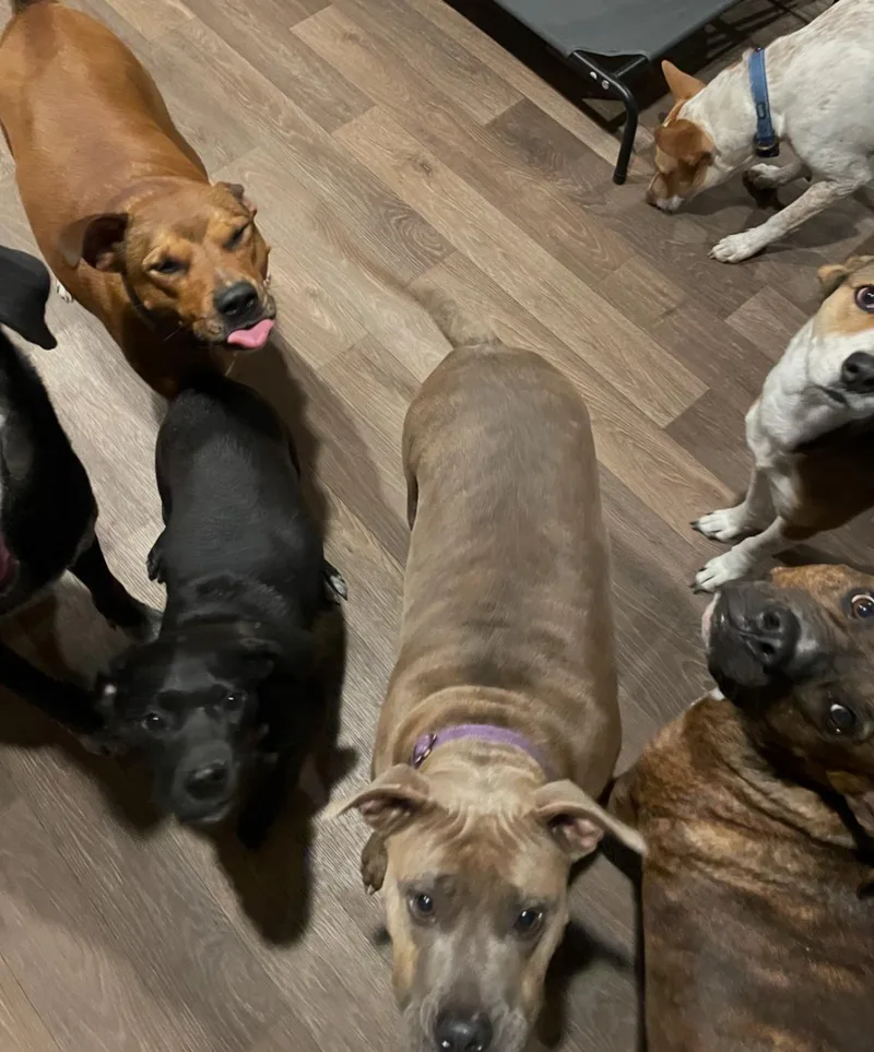 Ellie Mae “snidely” thumbnail 6