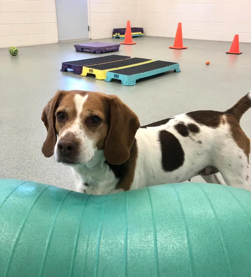 Scarlett thumbnail 3