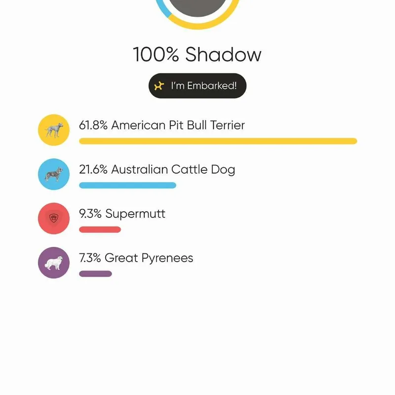 Shadow  Pups For thumbnail 2