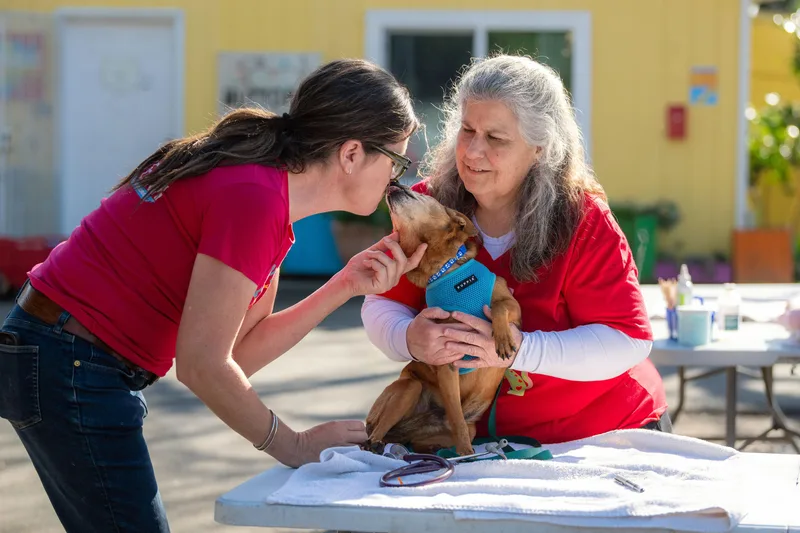 Macaroni thumbnail 3