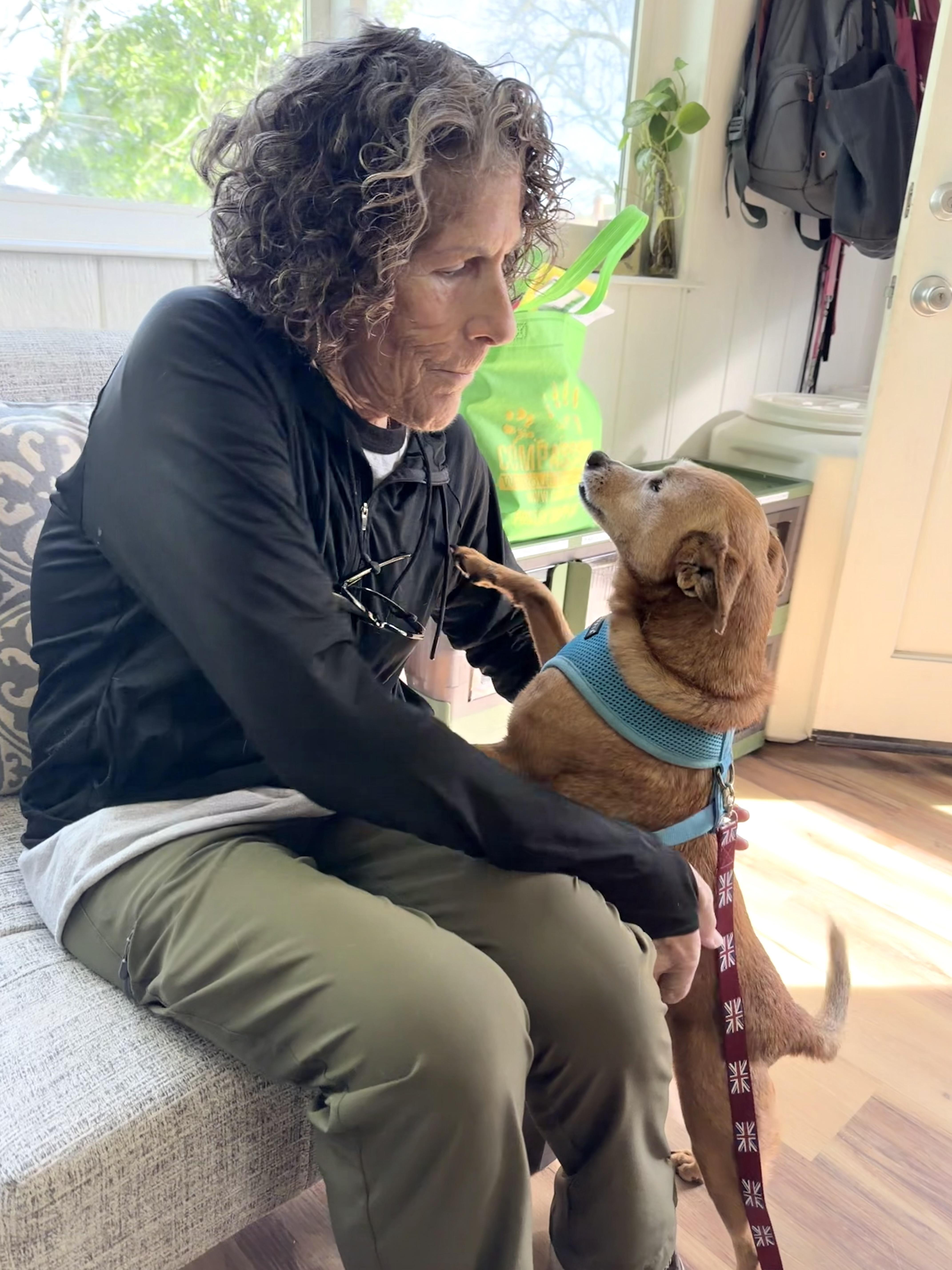 Macaroni thumbnail 5