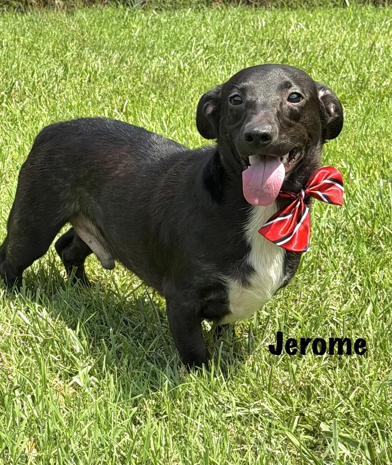 Jérôme thumbnail 2