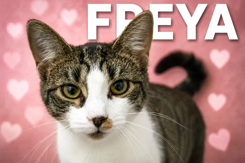 Freya thumbnail 2