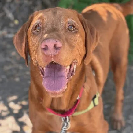 Max