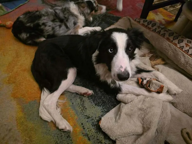 Jimmy Dugan thumbnail 2