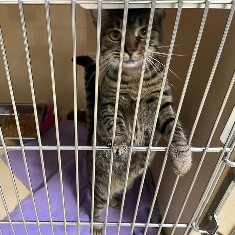 Poppy T. thumbnail 4