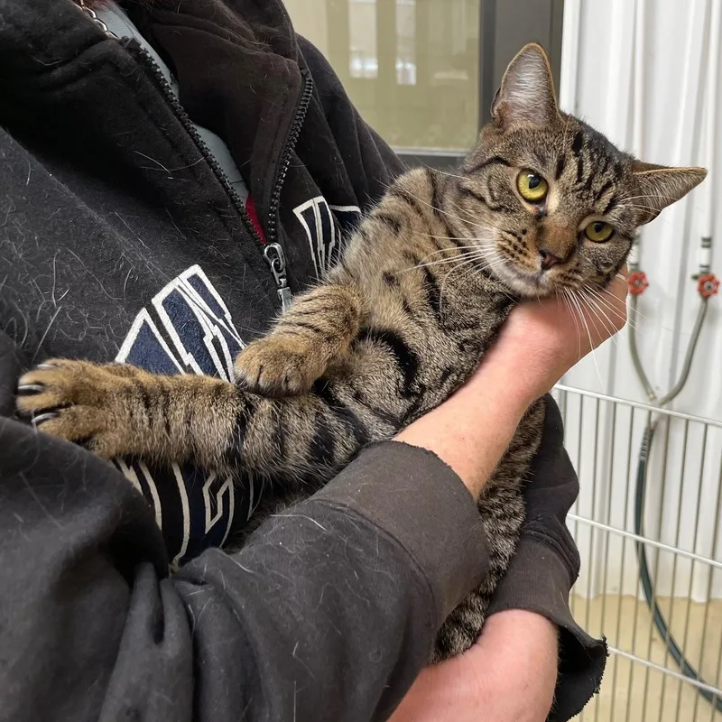 Poppy T. thumbnail 5