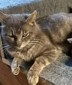 Eleanor thumbnail 4