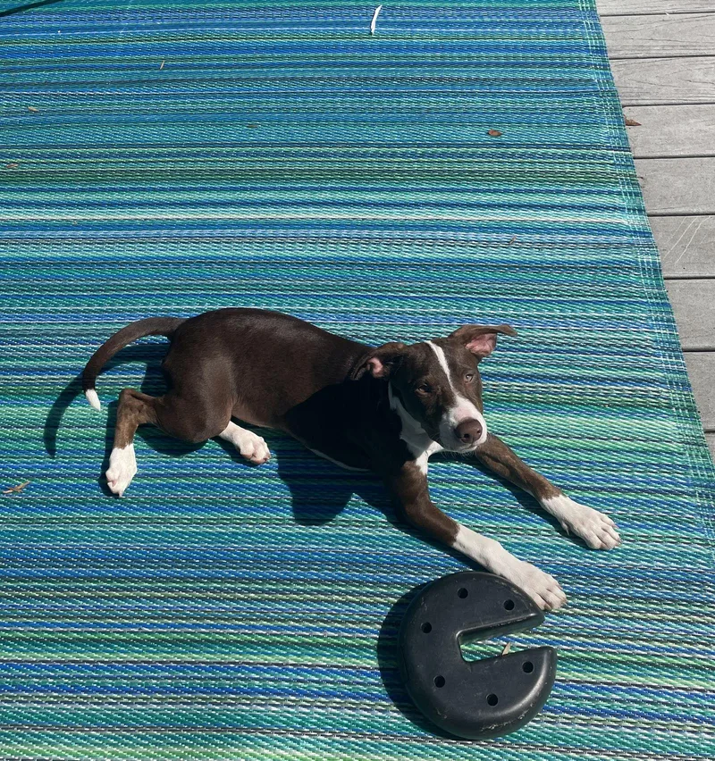 Lexi Lou thumbnail 2