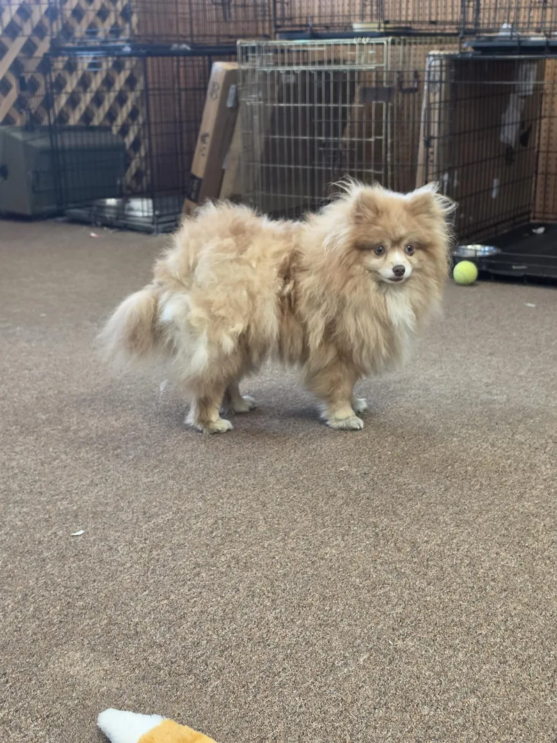 Sunshine thumbnail 2