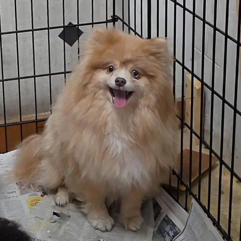 Sunshine thumbnail 3