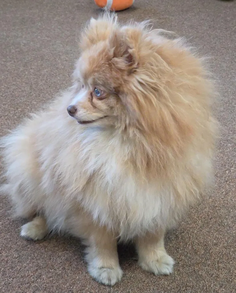 Sunshine thumbnail 4