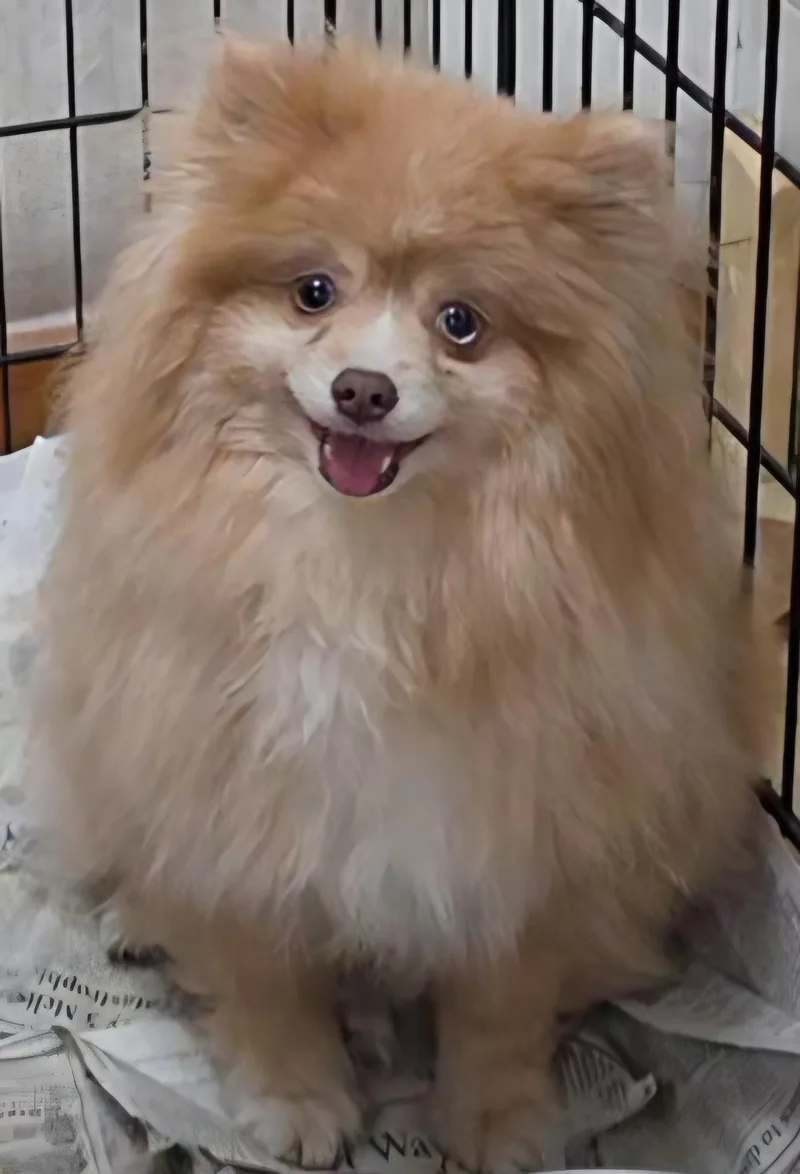 Sunshine thumbnail 5