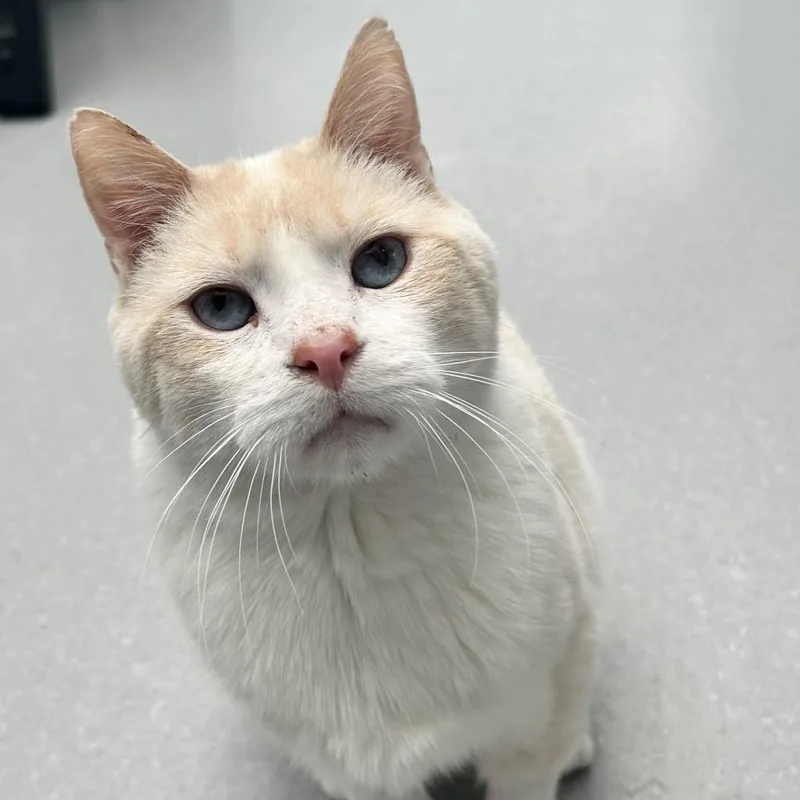 Casper thumbnail 4
