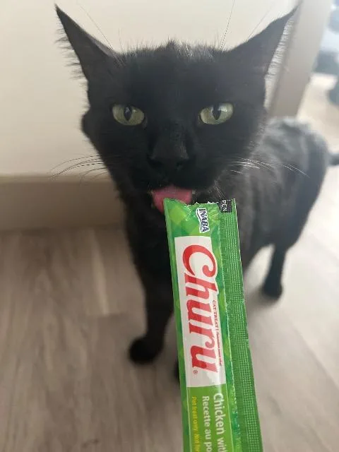 Kira
