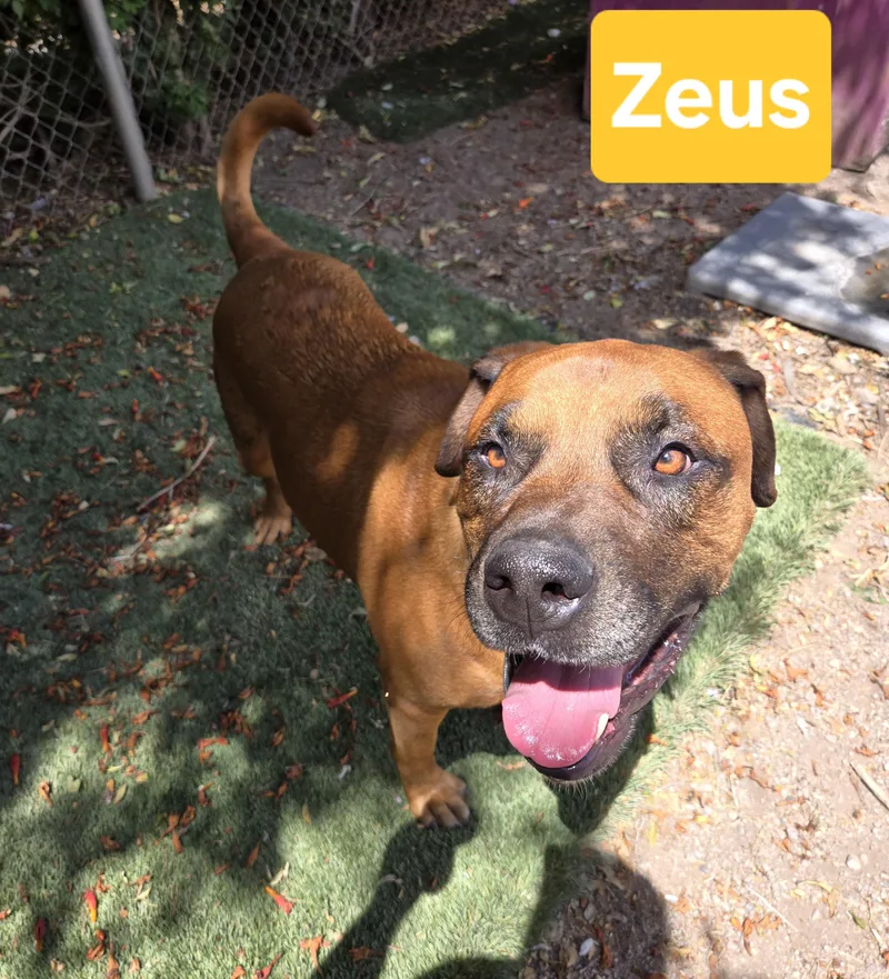 Zeus thumbnail 2